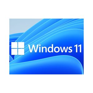 WINDOWS 11 HOME 64-BIT